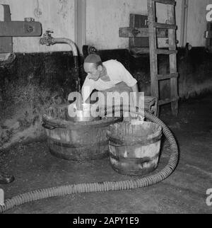 Wine Company Carmel Mizrachi Weingüter in Rishon le Zion. Drusem wird in die Tabakwaren gezapft Datum: 1. Januar 1960 Standort: Israel, Rishon le Zion Schlüsselwörter: Arbeiter, Industrie, Weinanbau Stockfoto