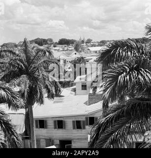 Niederländische Antillen und Suriname zum Zeitpunkt des königlichen Besuchs von Königin Juliana und Prinz Bernhard im Jahre 1955 Wohngebiet in Paramaribo Datum: 1. Oktober 1955 Ort: Paramaribo, Suriname Schlüsselwörter: Palmen, Wohnungen Stockfoto