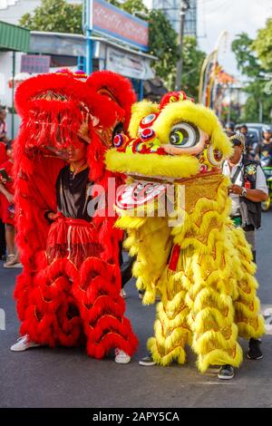 Löwen-Tanz (Barongsai) auf der Lunar-Neujahrsfeier (Imlek) der Chinesisch-indonesischen Gemeinde. Die Chinesische Buddhistin Vihara Dharmayana Kuta, Bali, Indonesien Stockfoto