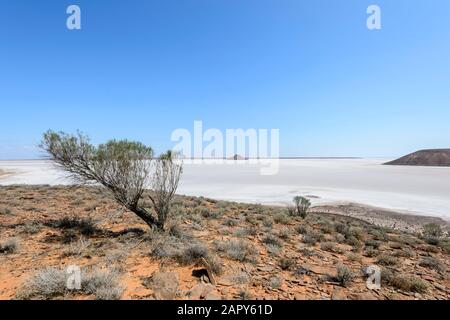 Malerische Aussicht auf die Island Lagoon, einen ausgedehnten malerischen Salzsee in der Nähe Von Pimba, South Australia, Australien Stockfoto