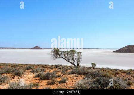 Malerischer Blick auf die Island Lagoon, einen ausgedehnten malerischen Salzsee in der Nähe Von Pimba, South Australia, Australien Stockfoto