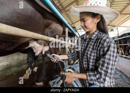 Arbeiterinnen in Melkstube Stockfoto