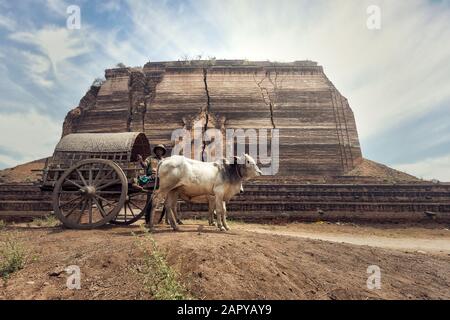 Die burmesische ländlichen Mann, der Holz- Warenkorb mit traditionellen Dorfleben in Birma Landschaft Stockfoto