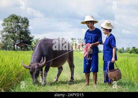 Paar Landwirt Landwirt Anzug mit auf die Felder von Reis Stockfoto