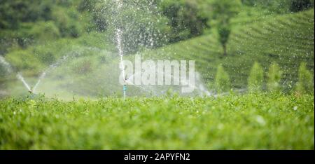 Sprinkleranlage in einem Betriebsbereich Stockfoto