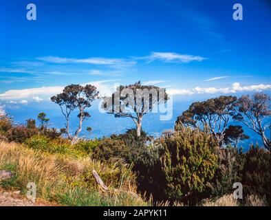 Mount Kinabalu Nationalpark, Sabah, Malaysia. Summit Trail, Ansicht von C3200 m Stockfoto