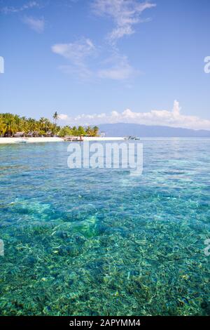 Türkisfarbene Lagune und tropische Insel. Eine Insel mit Palmen in einem Atoll im Ozean an einem Sommertag. Stockfoto