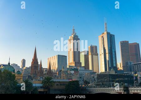 Melbourne, Australien - 18. April 2017: Stadtbild von Melbourne mit Vögeln über Wolkenkratzern Stockfoto