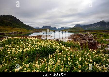 Blick über einen See und Berge im Hintergrund für eine schöne Reflexion im Wasser, Wolken hängen über dem Berg, Lofoten, Norwegen Stockfoto