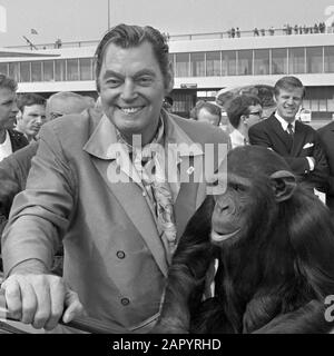 "Acteurs Raymond Burr en ex-Tarzan Johnny Weismuller (USA) arriveren op Schiphol; Weismuller traf AAP 24 Juni 1970;" Stockfoto