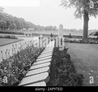 Kriegsgräberfelder auf dem Militärischen Ehrenfeld Grebbeberg (Rhenen). Im Hintergrund Erinnerungszeichen des 8. Regiments Infanterie (8 RI) Datum: 3. Mai 1961 Ort: Grebbeberg, Rhenen Schlüsselwörter: Friedhöfe, Kriegsgräberstätten, Zweiter Weltkrieg Stockfoto