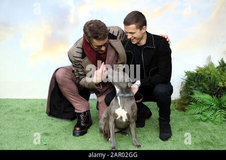Robert Downey, Jr. (links) Tom Holland und sein Hund Tessa während Dolittle Premiere am Leicester Square, London.