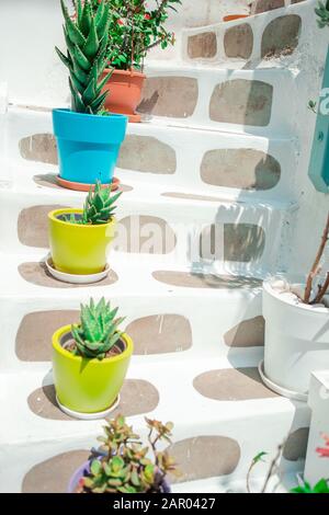 Traditionelle griechische bunte Blumentopf mit Blumen auf die Schritte in der griechischen Insel Stockfoto