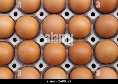 Viele braune Eier von einer Hühnerfarm im Paket Stockfoto