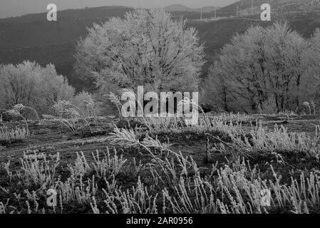 Frostige Landschaft mit Nebel Stockfoto