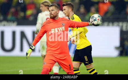 Dortmund, Deutschland. Januar 2020. Firo: 24.01.2020 Fußball, 2019/2020 1.Bundesliga: BVB Borussia Dortmund - 1.FC Köln, Köln Individualkampagne, Timo Horn weltweite Nutzung Credit: Dpa / Alamy Live News Stockfoto