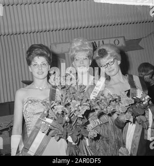 Miss Bril 1963 Miss Brils Wahl 1963 Jenny de Knegt aus Amsterdam ist Gewinnerdatum: 30. Mai 1963 Ort: Amsterdam, Noord-Holland Schlüsselwörter: Brille, Pageantname: Knegt, Jenny de Stockfoto