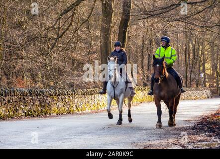 Zwei Reitpferde, die im Winter in der englischen Landschaft auf einer ruhigen Landspitze auf der Landspitze unterwegs sind Stockfoto