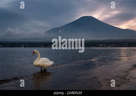 Mt. Fuji über den Yamanaka-See Stockfoto