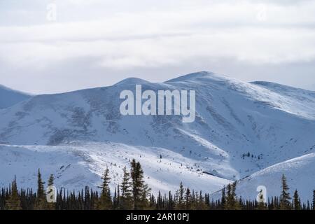 6633 Arctic Ultra 2019 Stockfoto