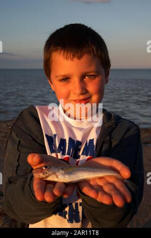 Kleiner Junge, der einen Fisch ausstreckt, den er gerade an der Küste irlands gefangen hat Stockfoto