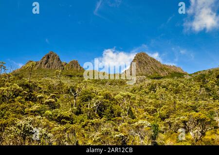 Blick auf den Cradle Mountain und den Lake Dove Stockfoto