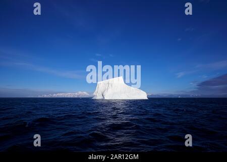 Großer Eisberg, der im Antarktischen Ozean vor der Antarktischen Halbinsel Antarktis schwimmt Stockfoto