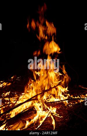 Brennendes Eukalyptusholz in einem intensiven Lagerfeuer, der Wald abbrennt, verbrennen die Pellinen chiles Stockfoto