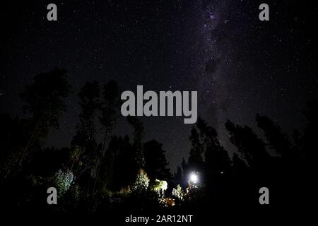 Milchstraße und Sterne am Himmel über abgelegenen, isolierten Gehöften in den abgelegenen Gehölzen in Los Pellines maule chile Stockfoto