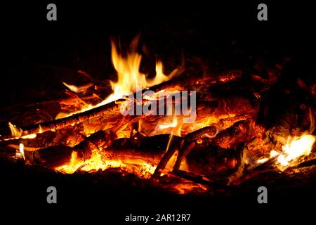 Verbrennung von Eukalyptusholz in einem intensiven Lagerfeuer Los Pellines chile Stockfoto