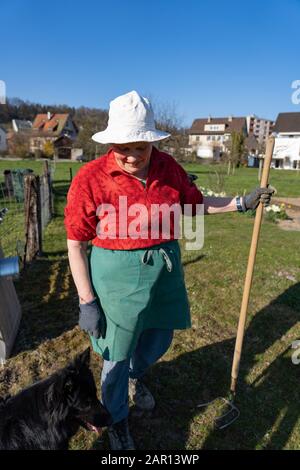 Gärtner-Frau-Porträt: Frühling, vor der Kamera, Trait, rotes Hemd, blaue Hose, grüne Schürze, weißer Hut, Hund Stockfoto