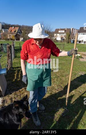 Gärtner-Frau-Porträt: Frühling, vor der Kamera, Trait, rotes Hemd, blaue Hose, grüne Schürze, weißer Hut, Hund Stockfoto