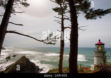 Heceta Head Lighthouse in der Nähe von Florence an der Küste von Oregon, eröffnet im Jahr 1894. Stockfoto