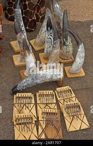 Sechs Fingerharps und zehn Nashorner zum Verkauf im Blyde River Canyon, Mpumalanga, Südafrika. Stockfoto