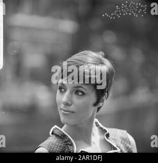 Frisur Tendens 1966, von Damenfriseur Mario (Kurzhaarschnitt der kurze Haarschnitt der Frauen Datum: 23. Juli 1965 Schlagwörter: Frisuren Stockfoto