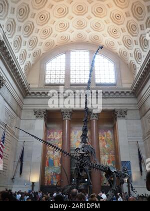 New York, USA - 30. Mai 2019: Bild der Theodore Roosevelt Rotunda. Diese Halle ist der Eingang zum American Museum of Natural History in New York Stockfoto