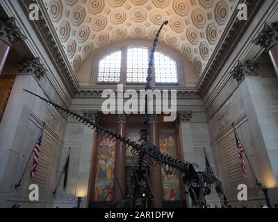 New York, USA - 30. Mai 2019: Bild der Theodore Roosevelt Rotunda. Diese Halle ist der Eingang zum American Museum of Natural History in New York Stockfoto