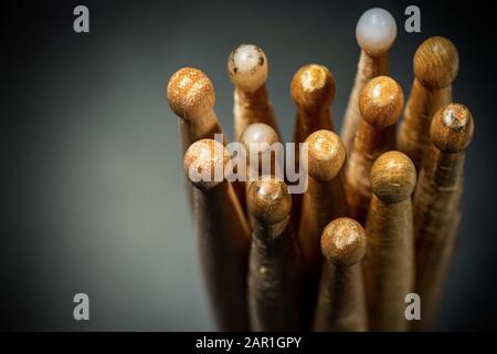 Nahaufnahme einer Gruppe von gebrauchten Holztrommeln auf dunklem Hintergrund mit Kopierraum. Schlaginstrument Stockfoto