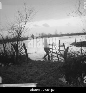 Waternuisance in Kootwijcurbroek (bei Barneveld), Kind, das einen Zaun in der Nähe einer überfluteten Wiese öffnet Datum: 10. Dezember 1965 Ort: Barneveld, Gelderland Schlüsselwörter: Zäune, Kinder, Überschwemmungen, Überschwemmungen Stockfoto