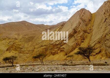 Blick auf den Nahal Shlomo (Wüstental). Eilat-Gebirge, Südisraelisch Stockfoto