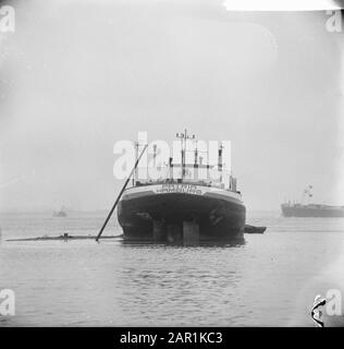 Tankschiff Patria aus Hamburg auf der Weide bei Sint Andries Datum: 27. Januar 1966 Standort: Rossum, Sint Andries Schlüsselwörter: Binnenschiffe, Schiffsunfälle, Tankschiffe, Wiesen Stockfoto