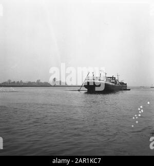 Tankschiff Patria aus Hamburg auf der Weide bei Sint Andries Datum: 27. Januar 1966 Standort: Rossum, Sint Andries Schlüsselwörter: Binnenschiffe, Schiffsunfälle, Tankschiffe, Wiesen Stockfoto