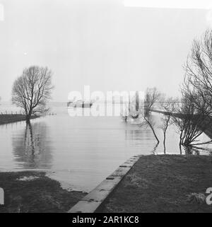 Tankschiff Patria aus Hamburg auf der Weide bei Sint Andries Datum: 27. Januar 1966 Standort: Rossum, Sint Andries Schlüsselwörter: Binnenschiffe, Schiffsunfälle, Tankschiffe, Wiesen Stockfoto