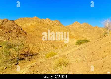 Wüstenlandschaft bei Eilat, südlichste Stadt Israels Stockfoto