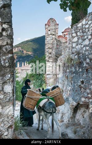 Eine Nonne aus dem Pantanassa-Kloster bereitet einen Esel zum Sammeln von Vorräten vor: Auf dem Hügel von Mystra, Lakonien, Peloponnes, Griechenland. Stockfoto