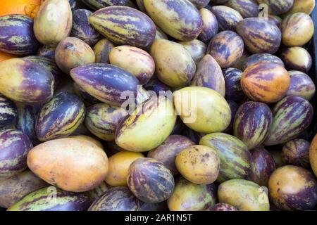 Pepino-Früchte auf dem Markt in Chile verkauft Stockfoto