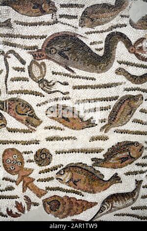 Ein altes römisches Mosaik aus dem 4. Jahrhundert, das Fische und andere Meeresbewohner im Bardo National Museum in Tunis, Tunesien, darstellt. Stockfoto