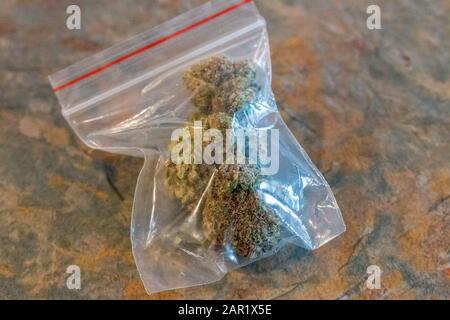 Große Plastiktüte von medizinischem Cannabis (Marihuana). Stockfoto