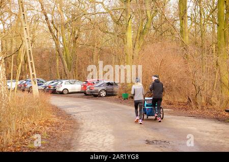 Posen, POLEN - 12. Januar 2020: Mann und Frau laufen mit einem Wagen auf einem Fußweg in der Nähe von geparkten Autos im Wald von Debiec. Stockfoto