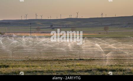 Bewässerungssprinkler, die Ackerland bei Sonnenuntergang in Huesca, Spanien, wässern. Stockfoto